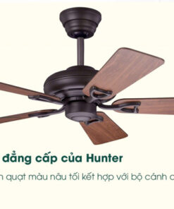 AX88 ATQ cá cược thể thao Hunter Seville II 24039