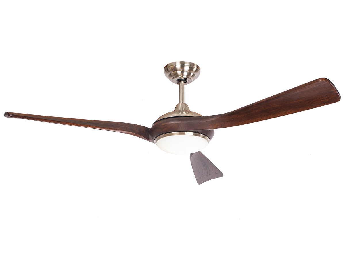 AX88 ATQ cá cược thể thao Kaiyokukan IWA 218