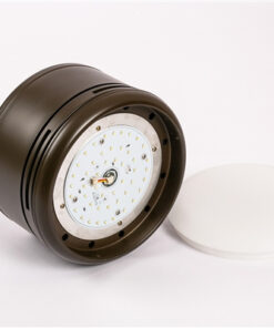 AX88 ATQ cá cược thể thao Kaiyokukan NAGO 594
