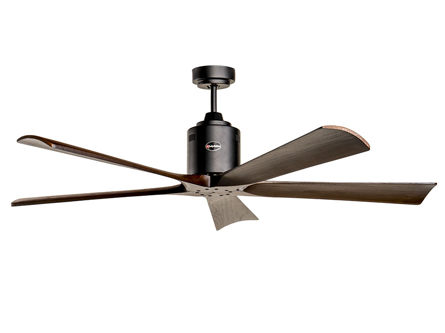 AX88 ATQ cá cược thể thao Kaiyokukan Shiga 011 BK