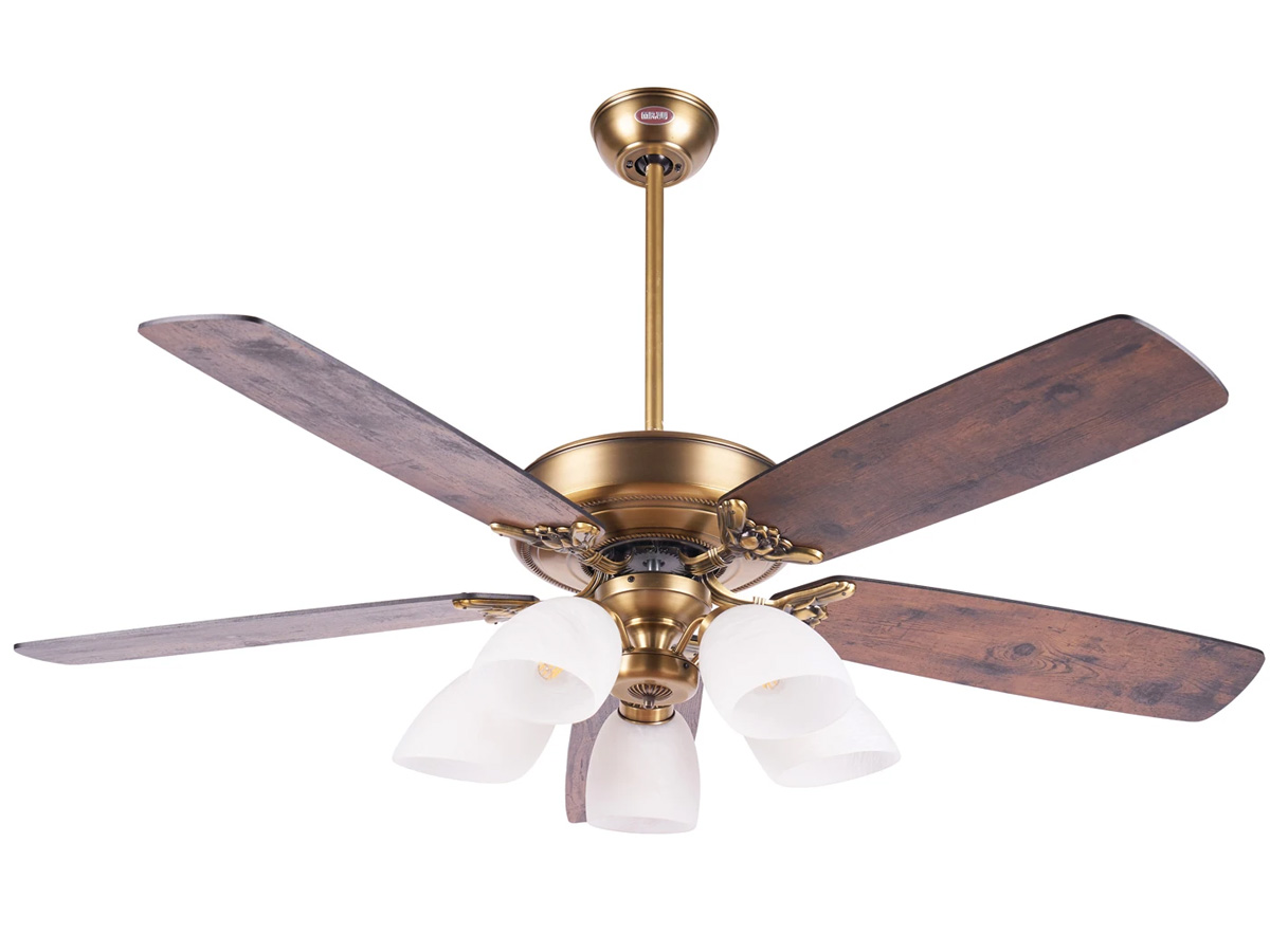 AX88 ATQ cá cược thể thao Lotus Plus