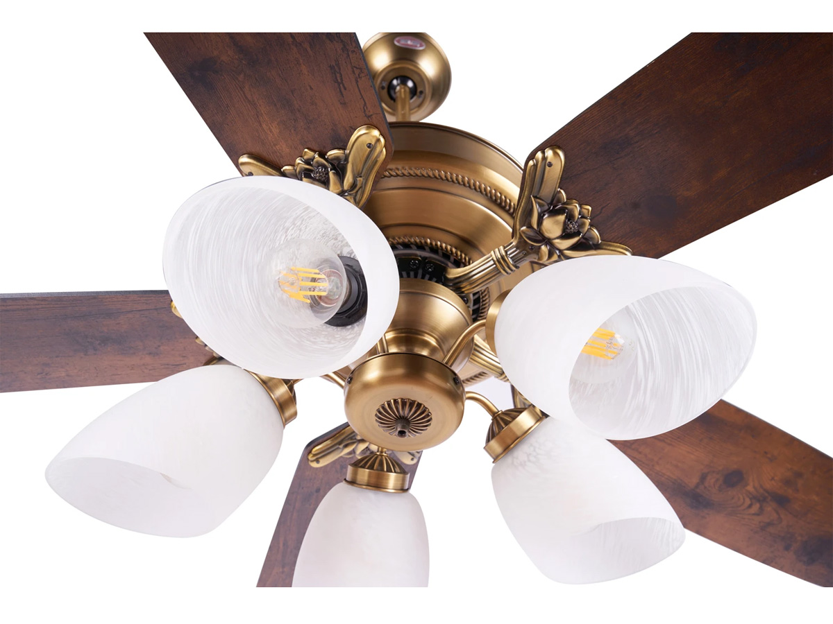 AX88 ATQ cá cược thể thao Lotus Plus