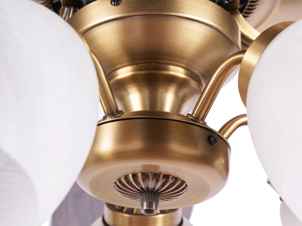AX88 ATQ cá cược thể thao Lotus Plus