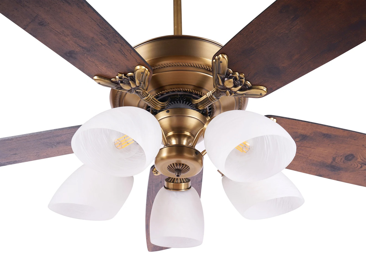 AX88 ATQ cá cược thể thao Lotus Plus