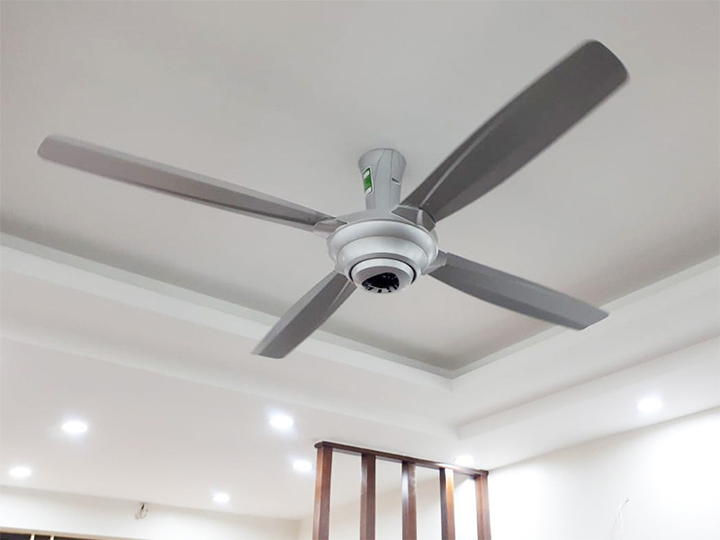 AX88 ATQ cá cược thể thao Panasonic 4 cánh F-56MPG