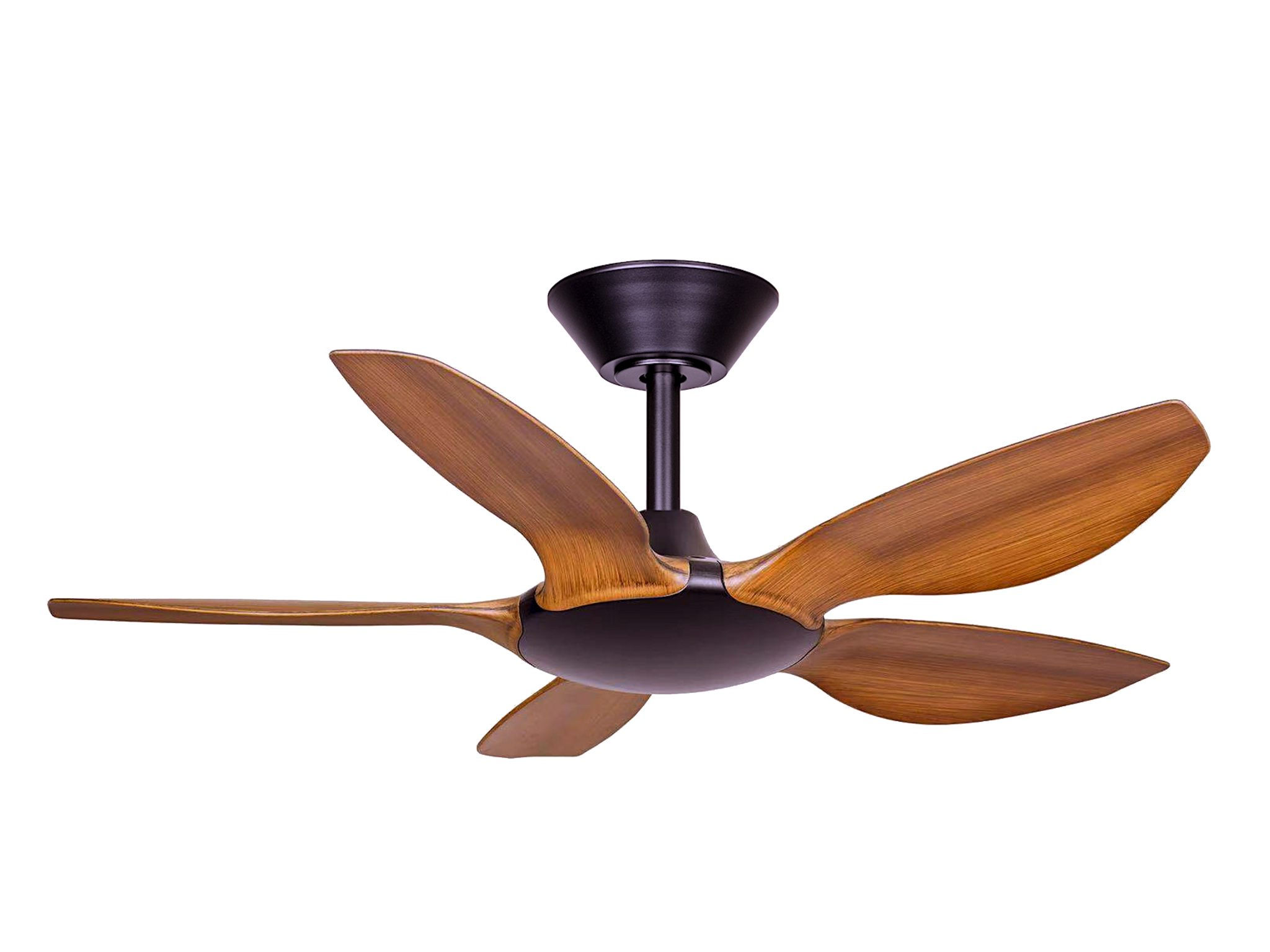 AX88 ATQ cá cược thể thao Aura Thin