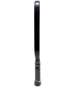 Vợt Pickleball Passion Native N101