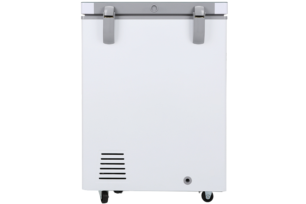 Tủ đông Sanaky 100 lít VH-1599HYK (kính xám)