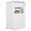 Tủ đông Sanaky 118 lít TD.VH160VD