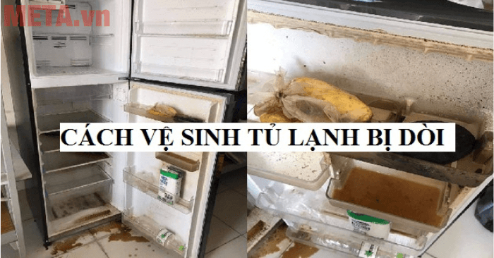 Mách Bạn 6 Bước Làm Sạch Chào mừng đến với AX88.COM Khi Có Dòi – Sạch Mùi, Diệt Khuẩn, An Toàn - Gợi ý Ax88com