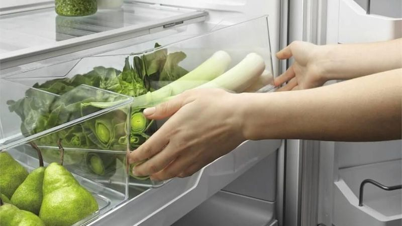 Vì sao khi để rau tươi trong tủ lạnh quá lâu, rau lại bị nát?