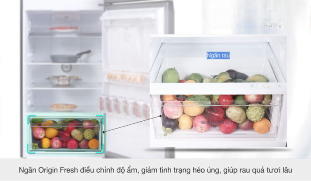 tủ lạnh Toshiba giảm tình trạng héo úng