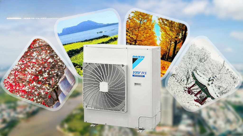 Hoạt động 2 chiều mạnh mẽ