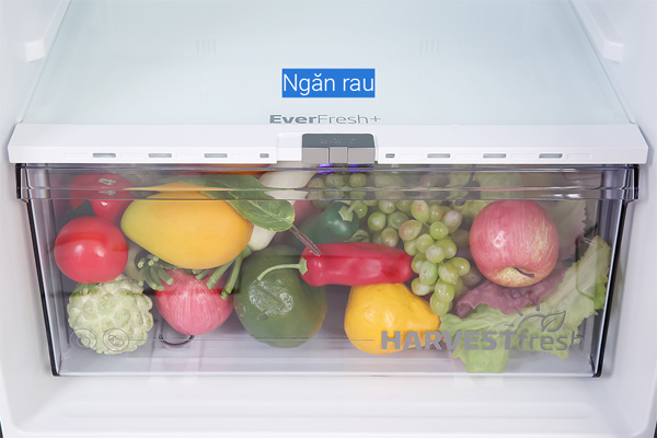 Ax88Win Com Link đăng ký tài khoản 2 cánh Beko inverter 340 lít RDNT371E50VZGB