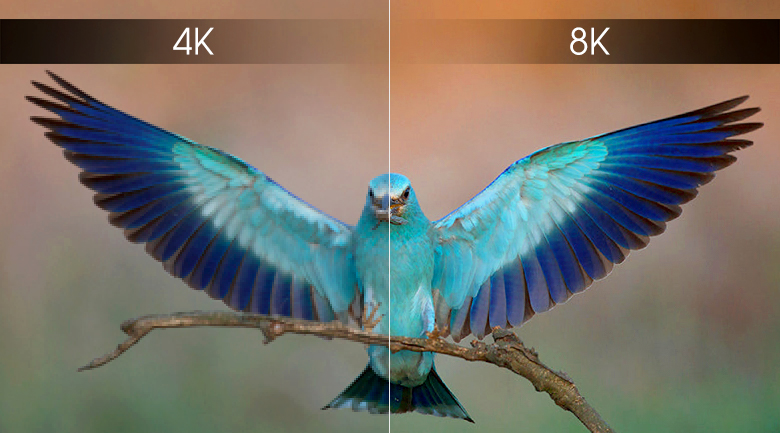 Độ phân giải 4K và 8K dần trở nên phổ biến hơn vì cung cấp được trải nghiệm xem tuyệt vời Độ phân giải 4K và 8K dần trở nên phổ biến hơn vì cung cấp được trải nghiệm xem tuyệt vời