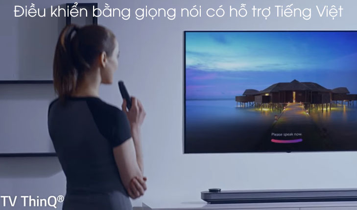 Tìm kiếm bằng giọng nói tiếng Việt Tìm kiếm bằng giọng nói tiếng Việt