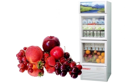 Lý do bạn nên lựa chọn tủ mát Sanaky inverter cho cửa hàng của mình [2025] - Gợi ý Ax88com