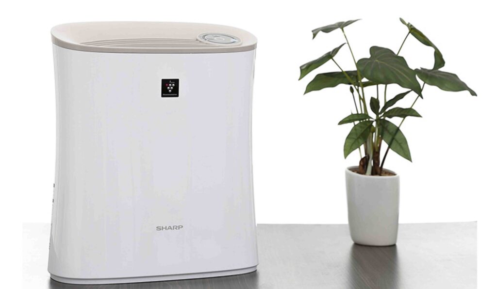 Đánh giá các tác động của Ax88 trang chủ Sharp đối với sức khỏe của bạn- Gợi ý từ Ax88com 2025