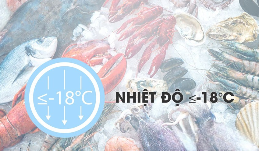 Độ bền của dàn lạnh và máy nén Sanaky Độ bền của dàn lạnh và máy nén Sanaky