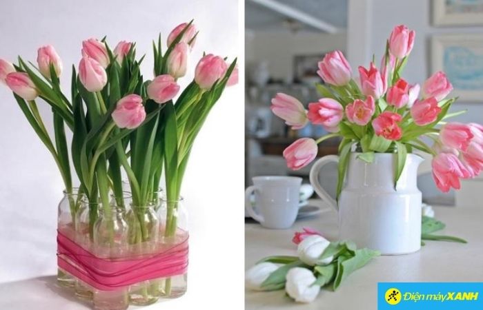 Một vài cành Tulip cắm trong bếp sẽ thắp sáng Ax88 one giaitri tructuyen nấu nướng Một vài cành Tulip cắm trong bếp sẽ thắp sáng Ax88 one giaitri tructuyen nấu nướng
