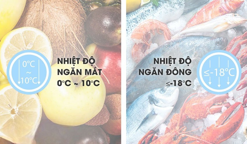 Sanaky VH-2599W4KD được trang bị môi chất lạnh R600a
