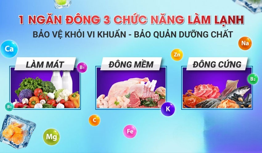 Giá bán hợp lý trong phân khúc tủ đông dung tích lớn