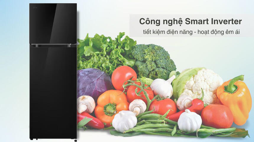Một số thông tin cơ bản về tủ lạnh LG ngăn đá trên T26BG
