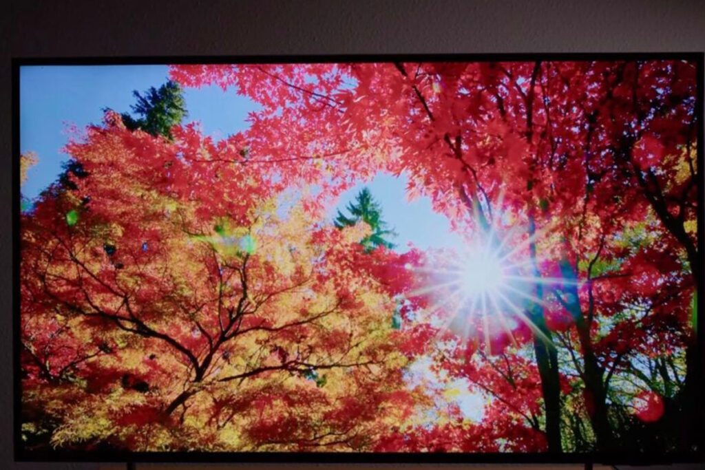 Trải nghiệm thực tế tivi Samsung QA55Q7F5AKXXV với Tải app AX88 ngay hôm nay Quantum Dot chân thực đến mức nào?