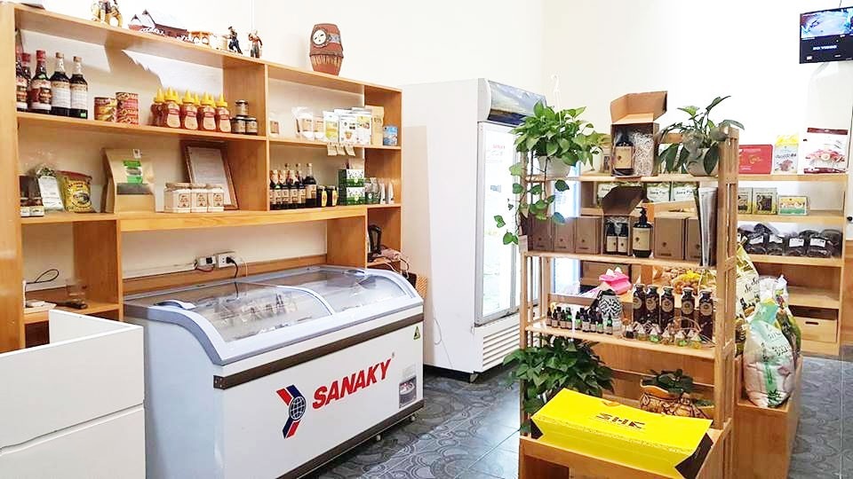 4 điểm khác nhau của tủ đông Sanaky và Funiki, loại nào bền bỉ đáng dùng hơn?